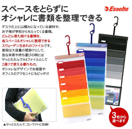エセルテ ESSELTE ソーテッドA4 ◇ 通販 文房具の和気文具