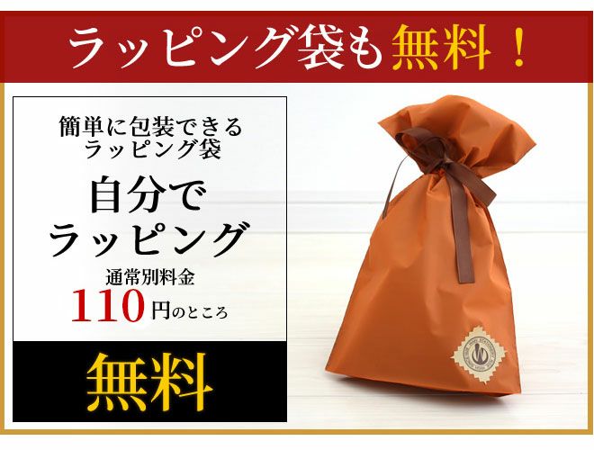 クロス CROSS ボールペン ベイリー【名入れ 無料】【送料無料】 通販 文房具の和気文具