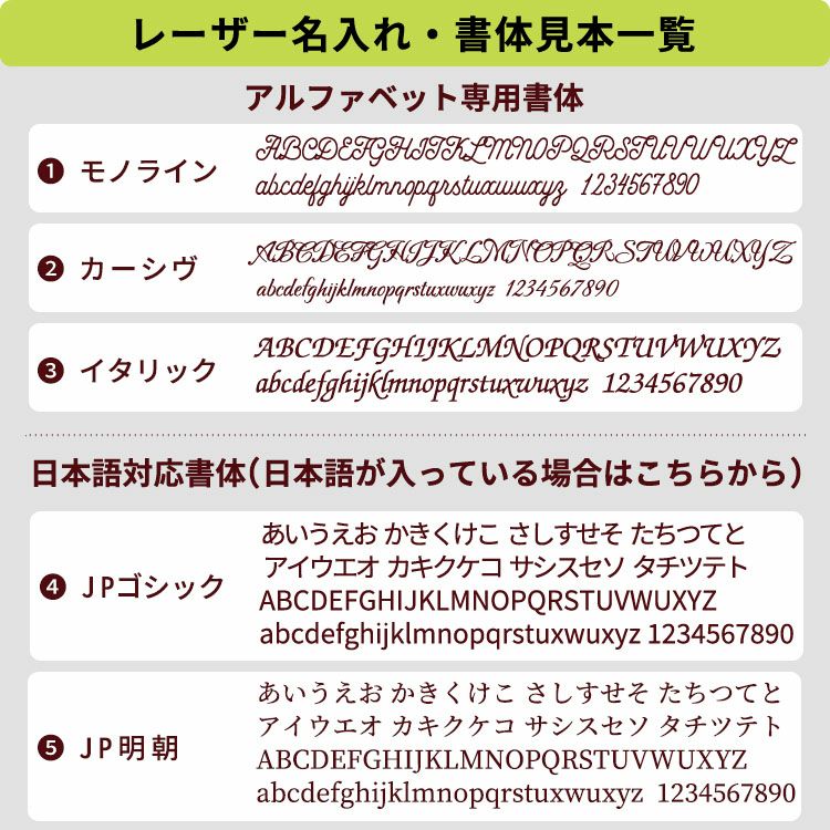 2025年1月始まり Bindex by NOLTY バイブルサイズ リフィール