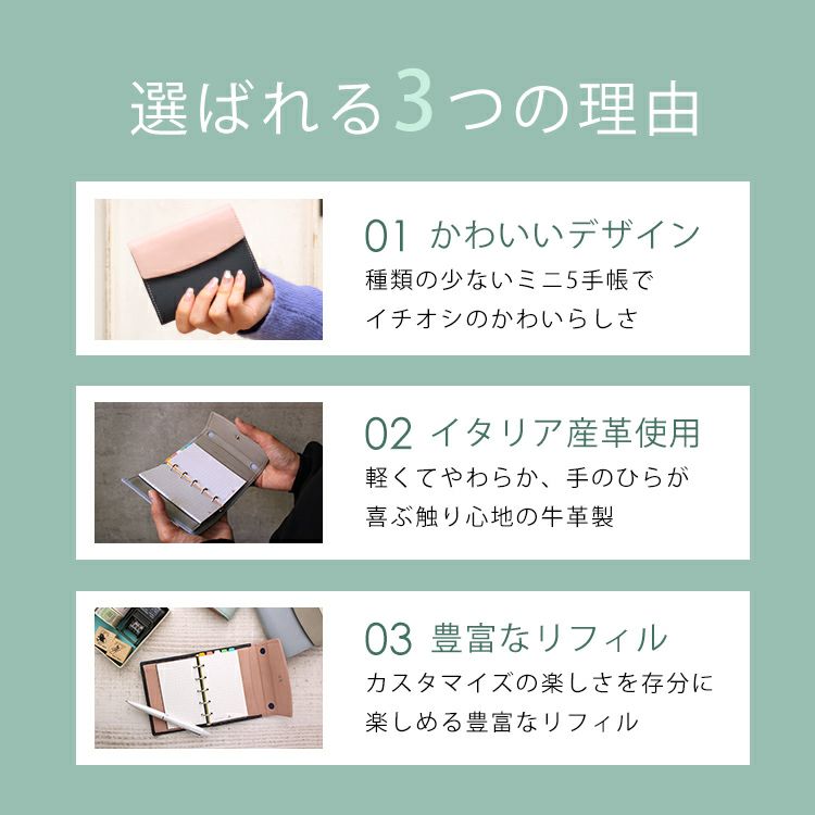 マイクロ5 flap アシュフォード ASHFORD システム手帳 ミニ5 13mm 